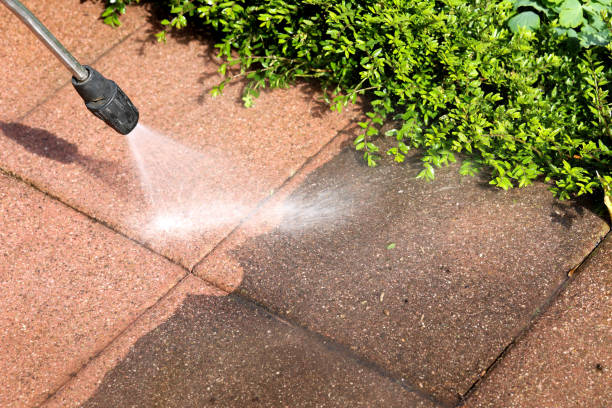 Best Roof Power Washing Services  in Fort Recovery, OH